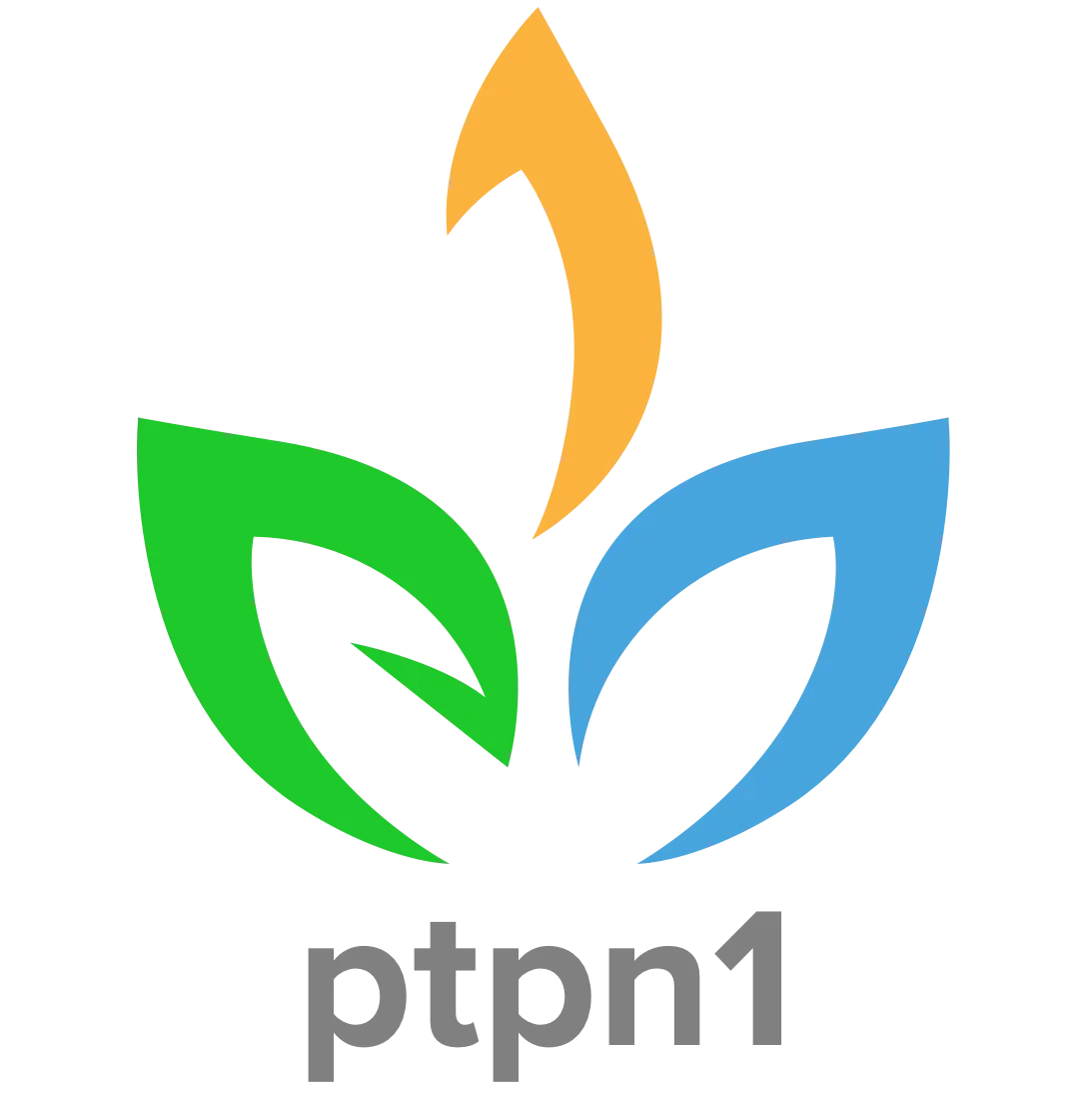 PTPN I